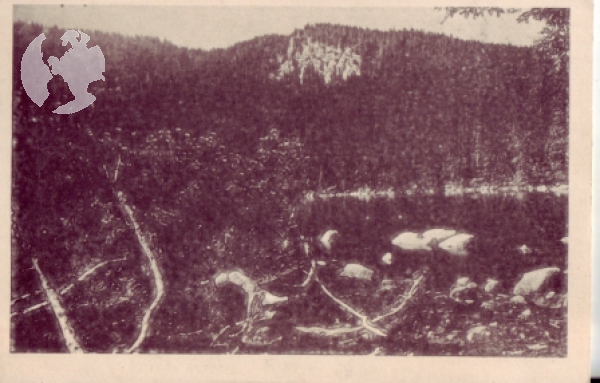 Böhmerwald - Plöckensteiner See xxxx 95 062 **