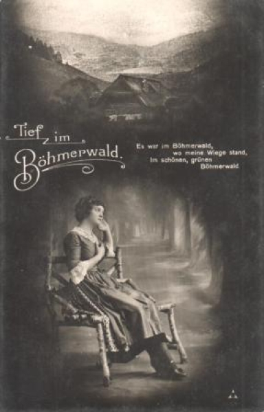 Šumava xxxx 95 001 **